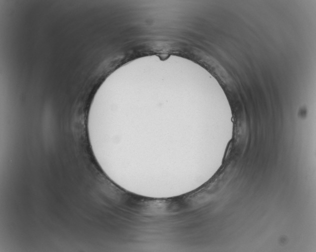 X0000116830473201001081441