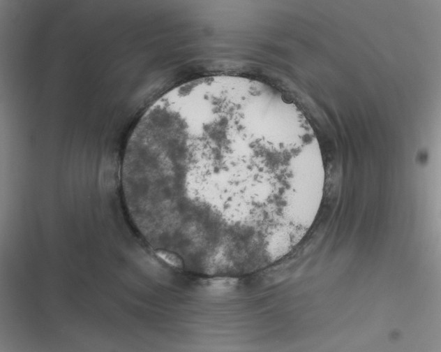 X0000116830474201001081441