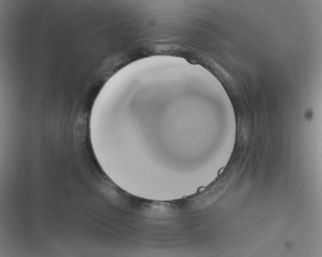 X0000116830475201001081441