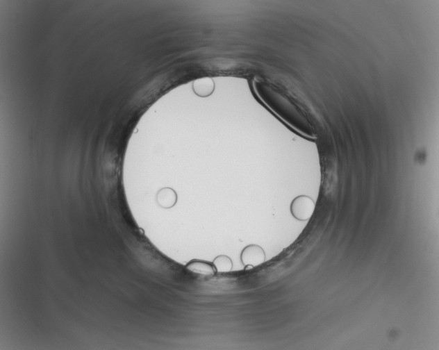 X0000116830476201001081441