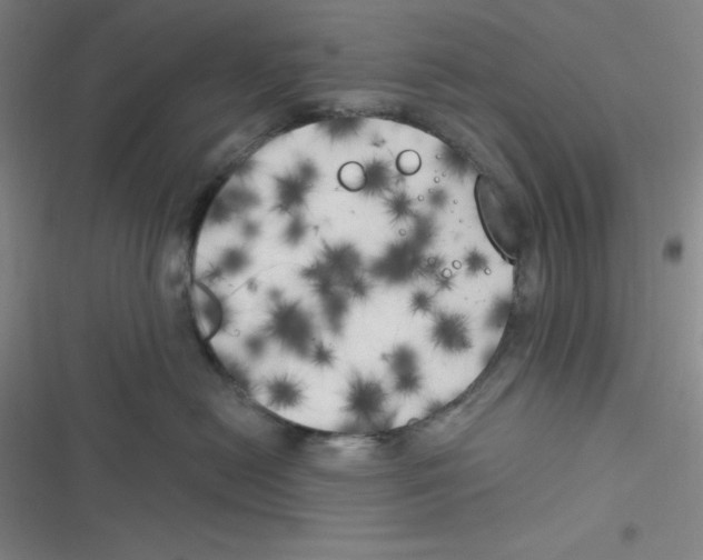 X0000116830478201001081441