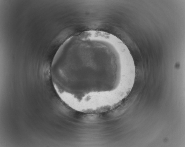 X0000116830479201001081441