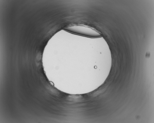 X0000116830480201001081441