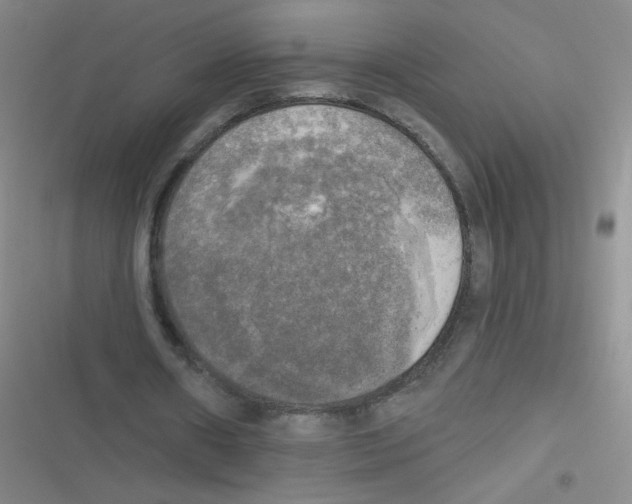 X0000116830482201001081441