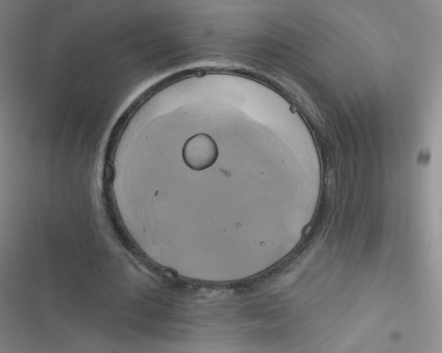 X0000116830484201001081441