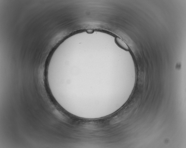 X0000116830485201001081441