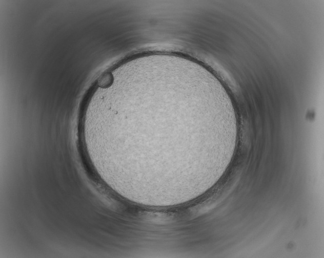 X0000116830486201001081441