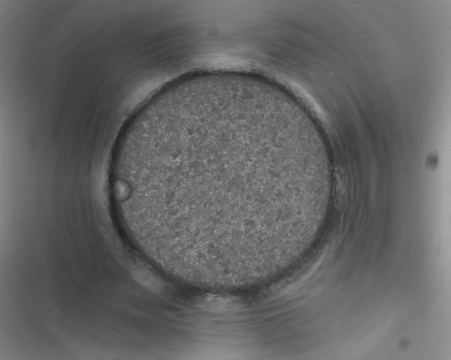 X0000116830487201001081441