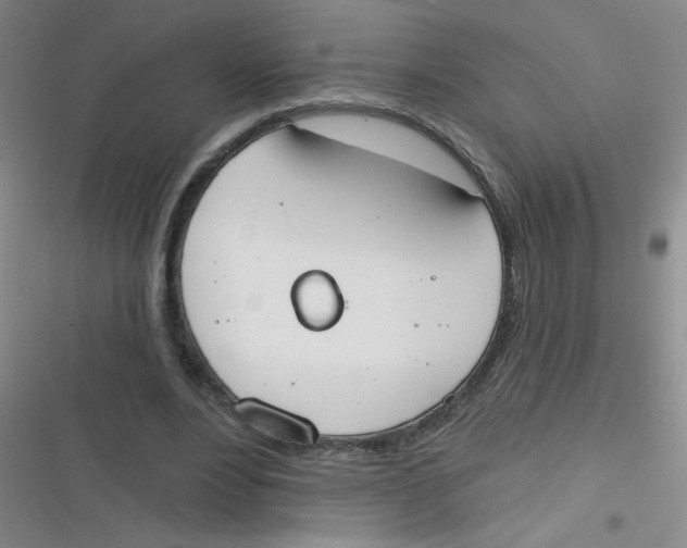 X0000116830488201001081441