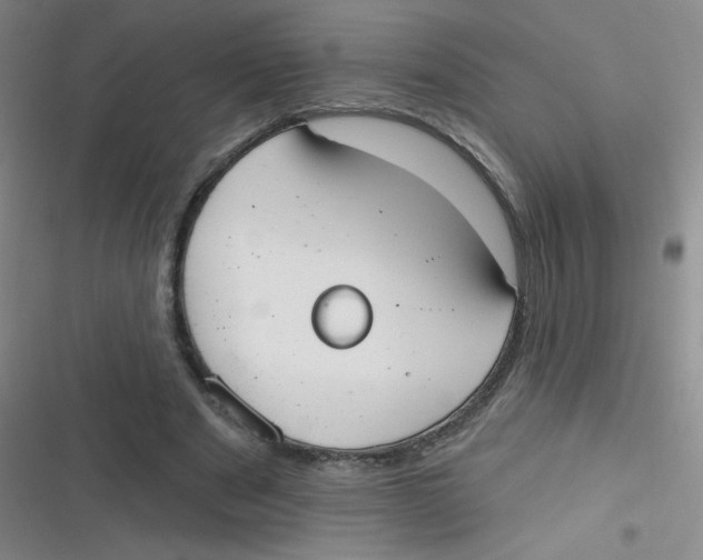 X0000116830489201001081441