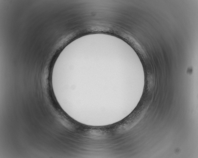 X0000116830490201001081441