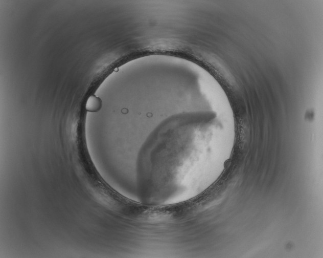 X0000116830491201001081441