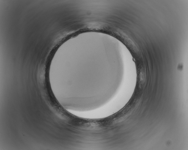 X0000116830492201001081441