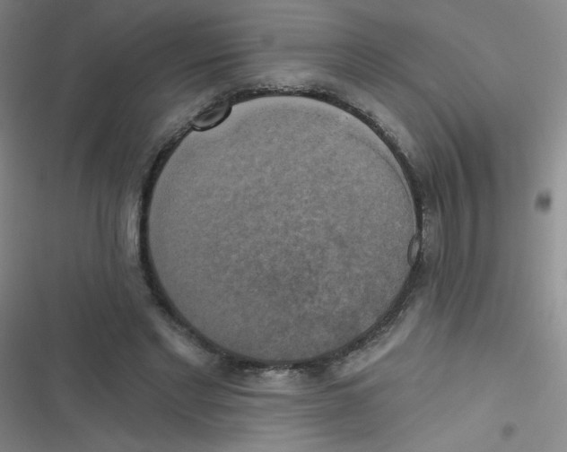 X0000116830493201001081441