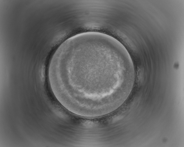 X0000116830494201001081441