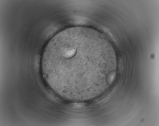 X0000116830495201001081441