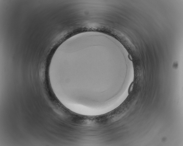 X0000116830496201001081441