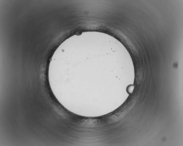 X0000116830497201001081441