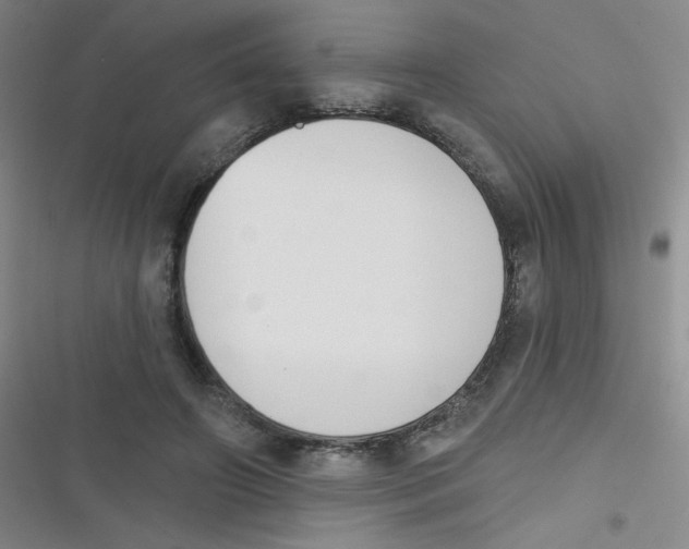 X0000116830498201001081441