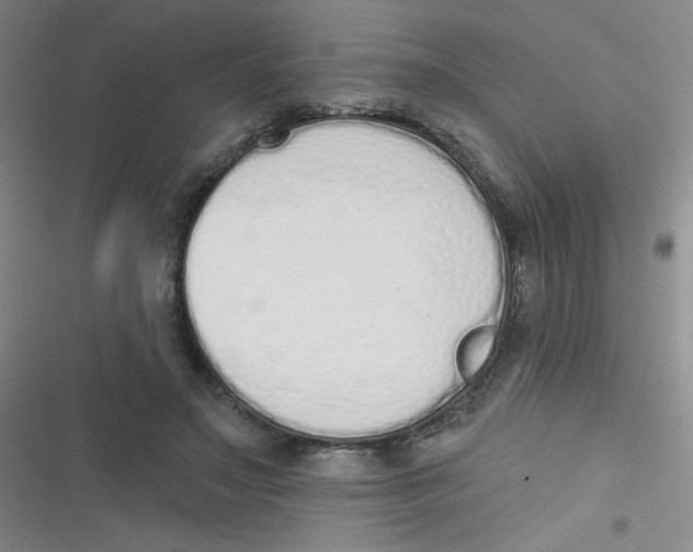 X0000116830499201001081440