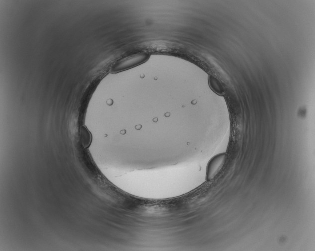 X0000116830500201001081440