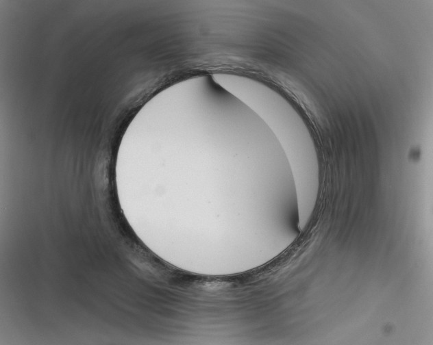 X0000116830501201001081440