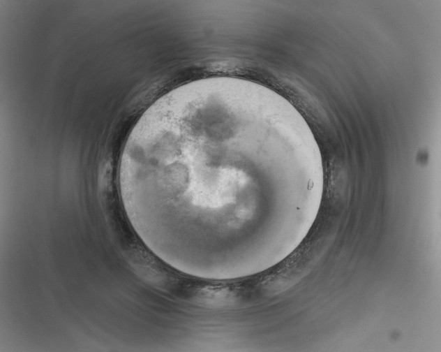 X0000116830502201001081440