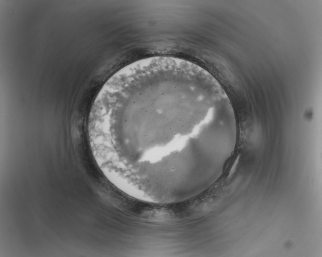 X0000116830503201001081440