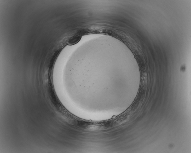 X0000116830504201001081440