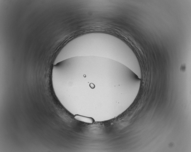 X0000116830505201001081440