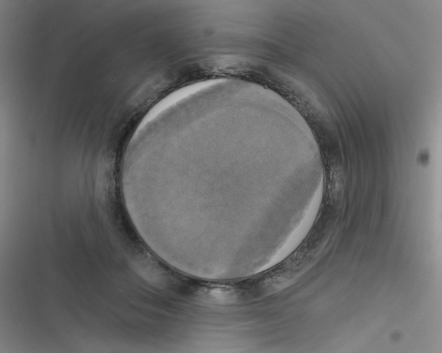 X0000116830506201001081440