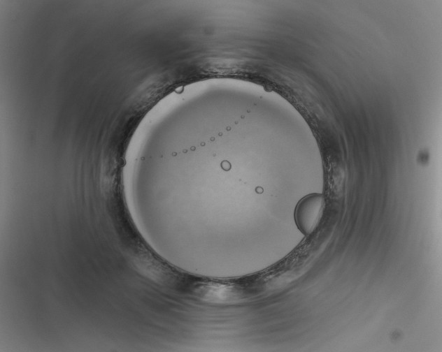 X0000116830507201001081440