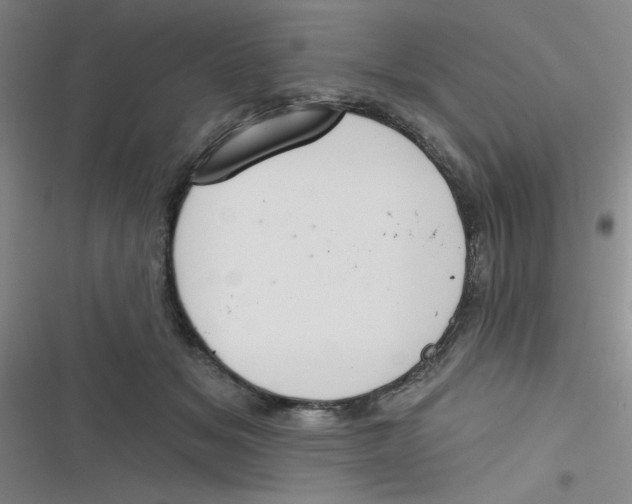 X0000116830509201001081440