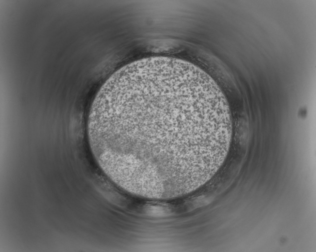 X0000116830510201001081440