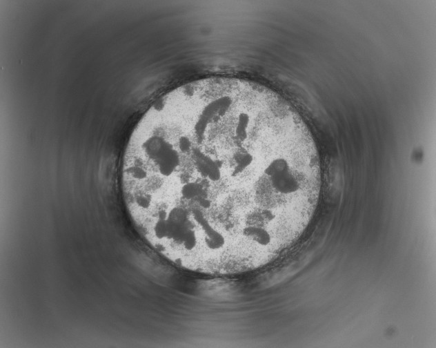 X0000116830511201001081440