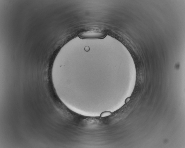 X0000116830512201001081440