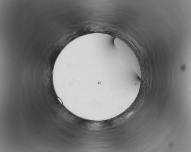 X0000116830513201001081440