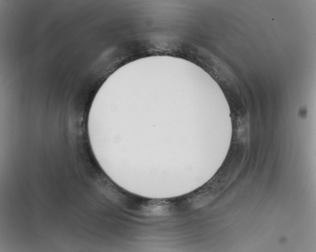 X0000116830514201001081440