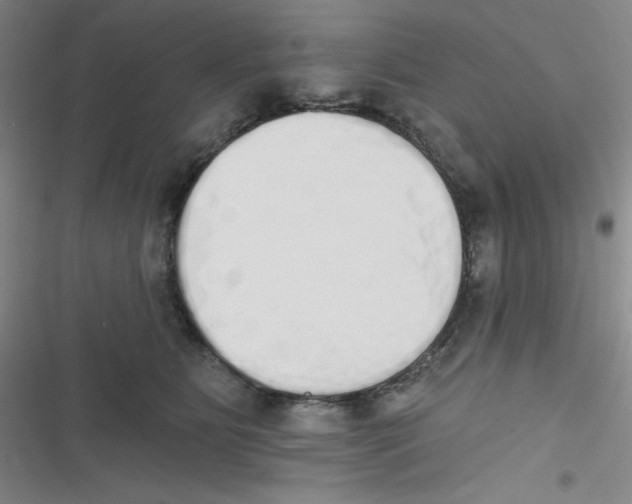 X0000116830515201001081440