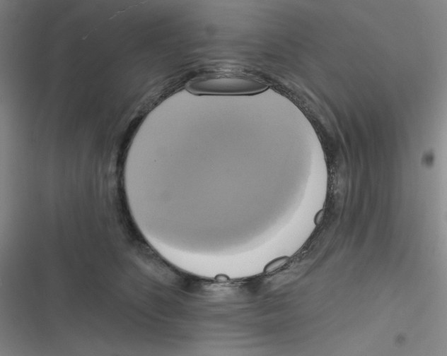 X0000116830516201001081440