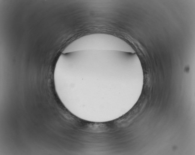 X0000116830517201001081440