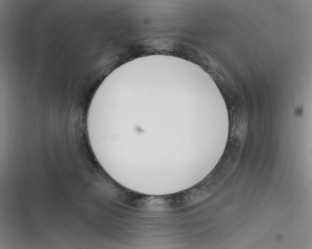 X0000116830518201001081440