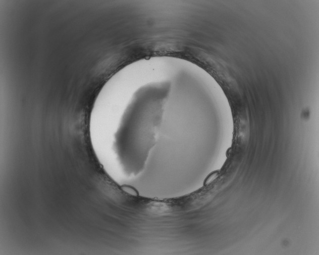 X0000116830519201001081440