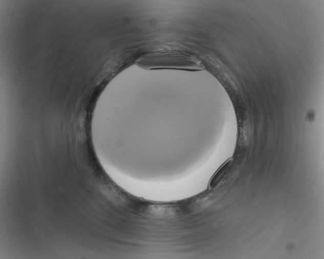 X0000116830520201001081440