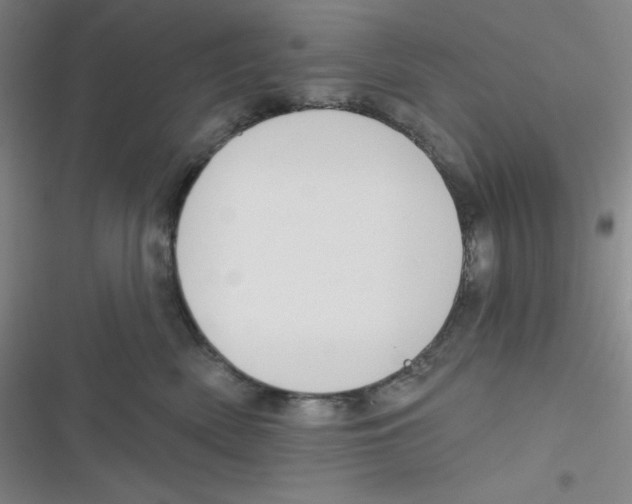 X0000116830522201001081440