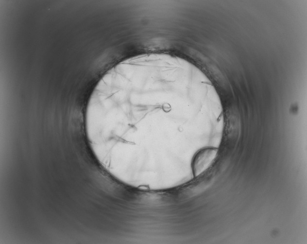 X0000116830523201001081440