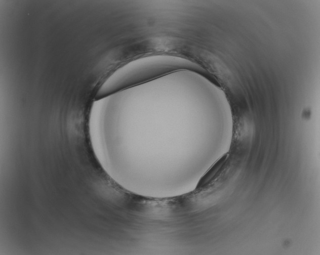 X0000116830524201001081440