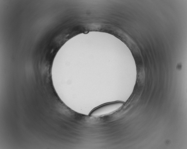 X0000116830525201001081440