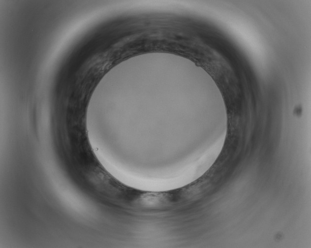 X0000116830526201001081440