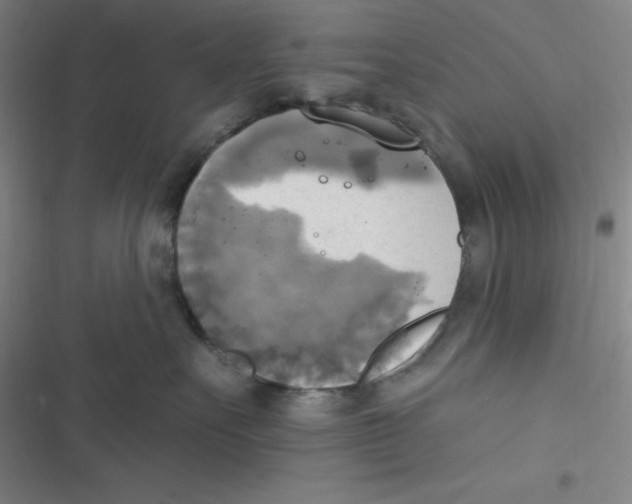 X0000116830527201001081440